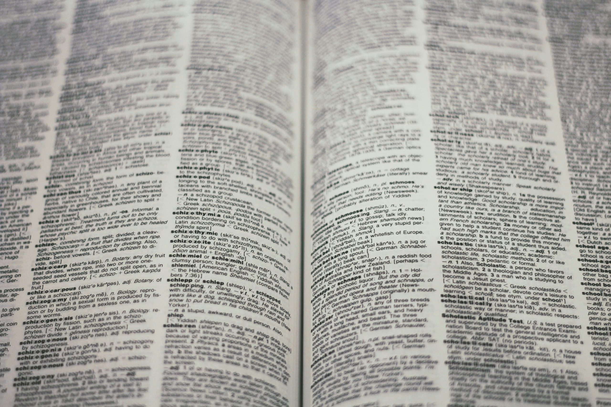 Ein aufgeschlagenes Wörterbuch zur Übersetzung