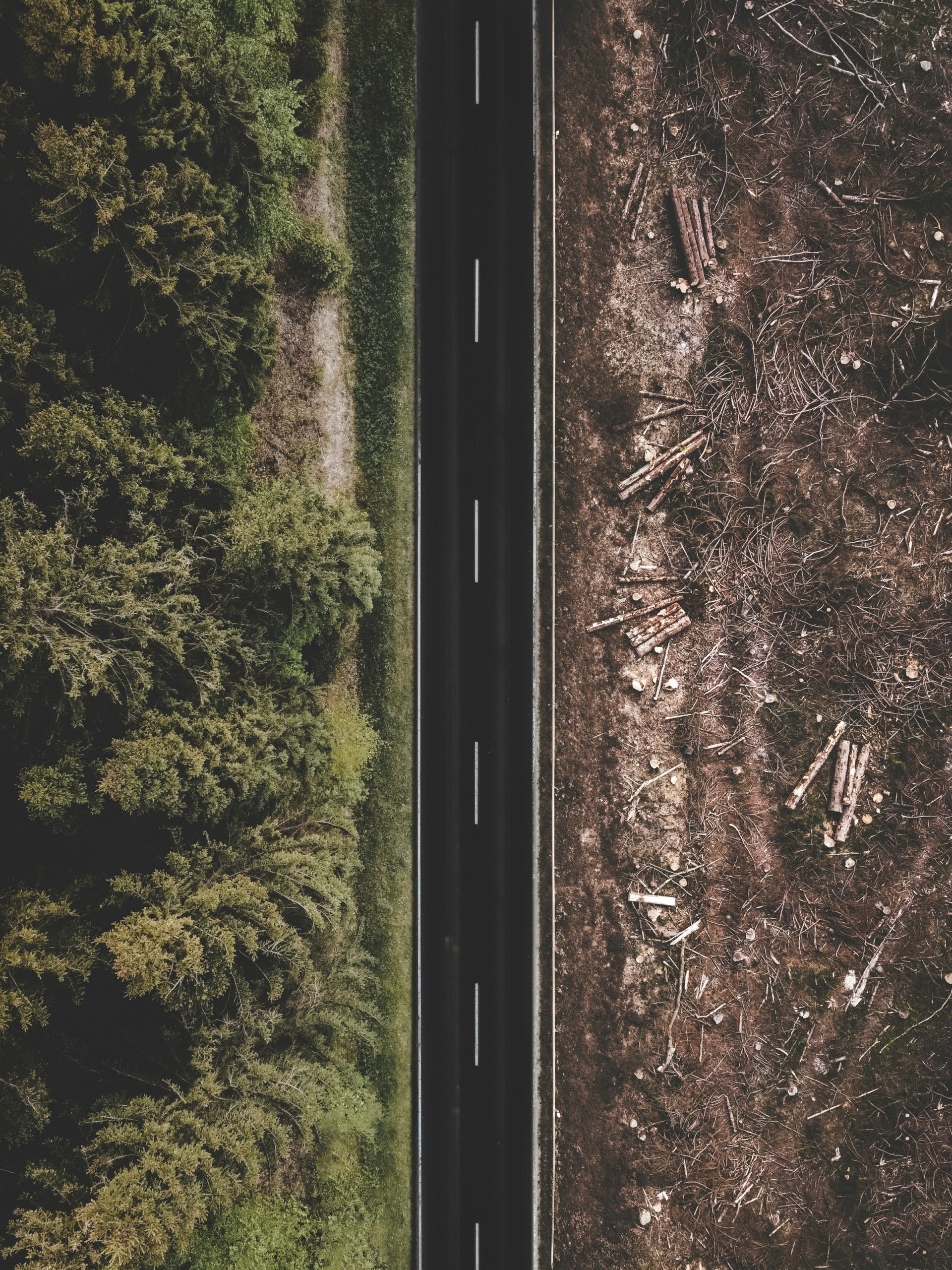 Abholzung Waldrodung und Wald auf zwei Seiten einer Straße