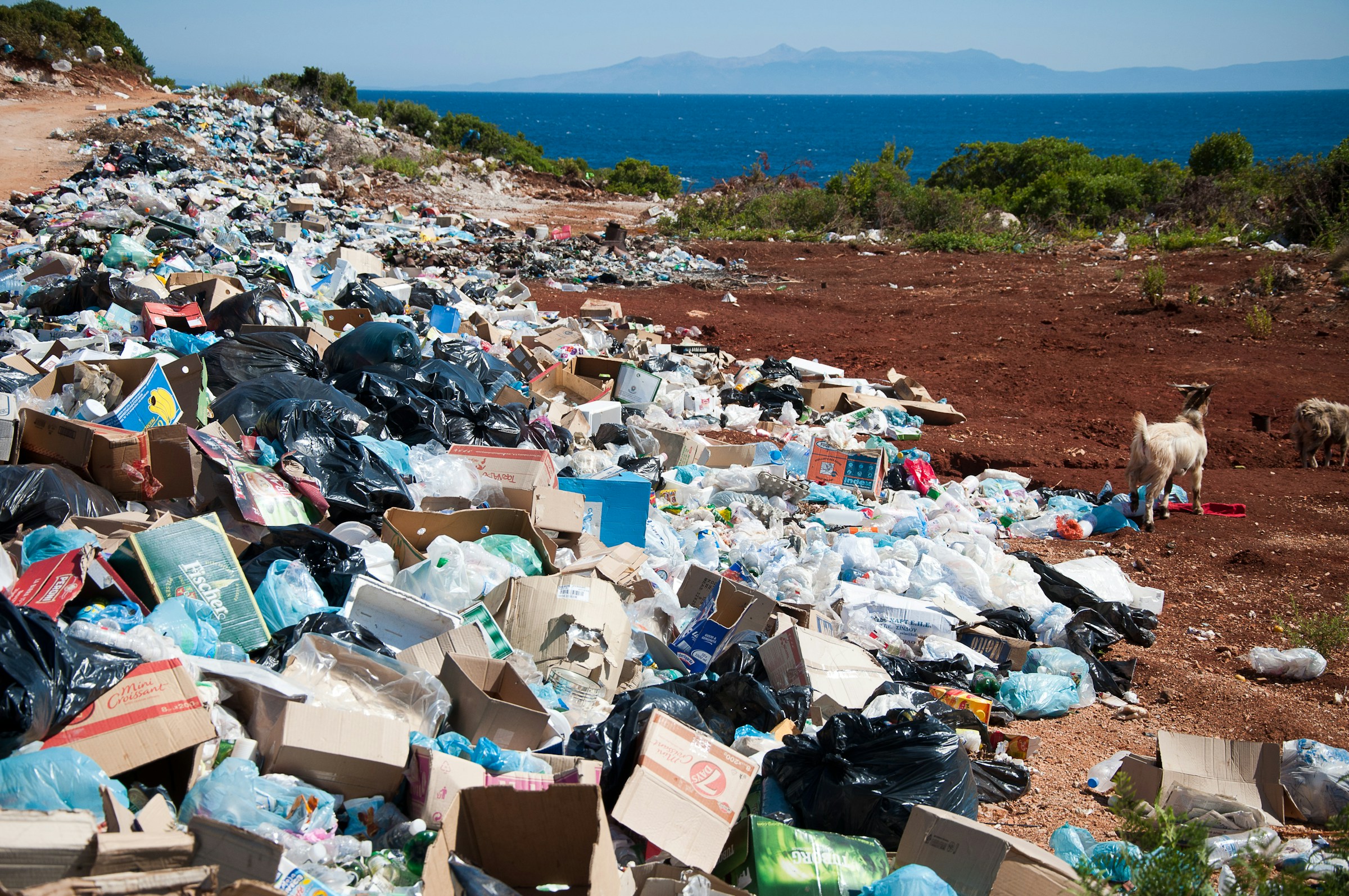 Müll Plastik Kartons in der Nähe von Wald Algerien